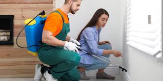 Best Pest Prevention Services  in Groesbeck, OH